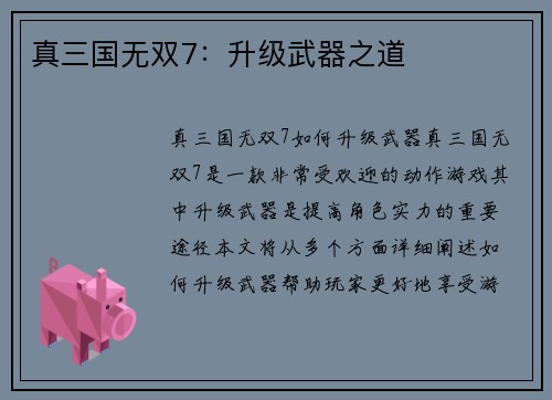 真三国无双7：升级武器之道